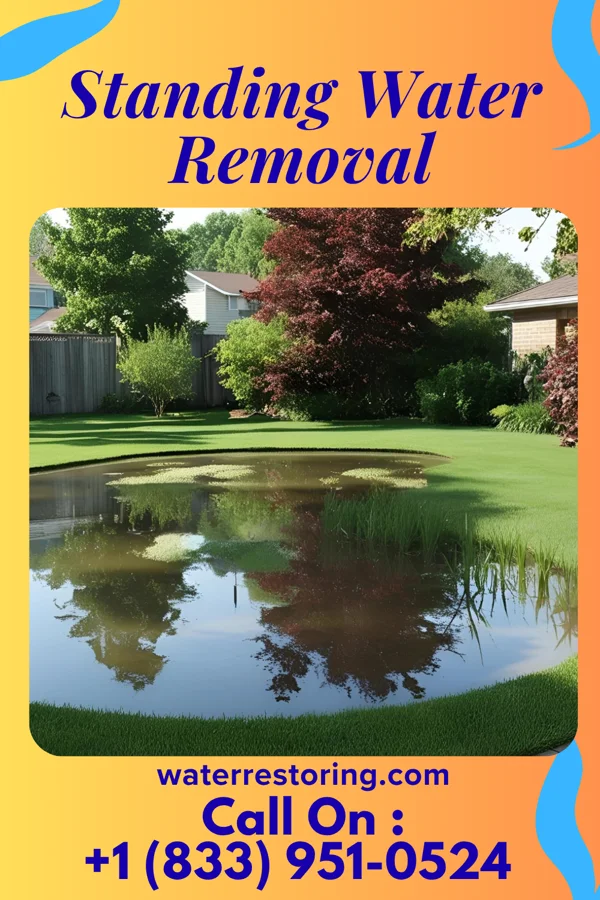 Standing Water Removal in Penalosa, KS